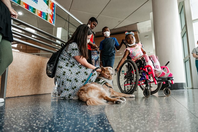 Girl in wheelchair petting dog