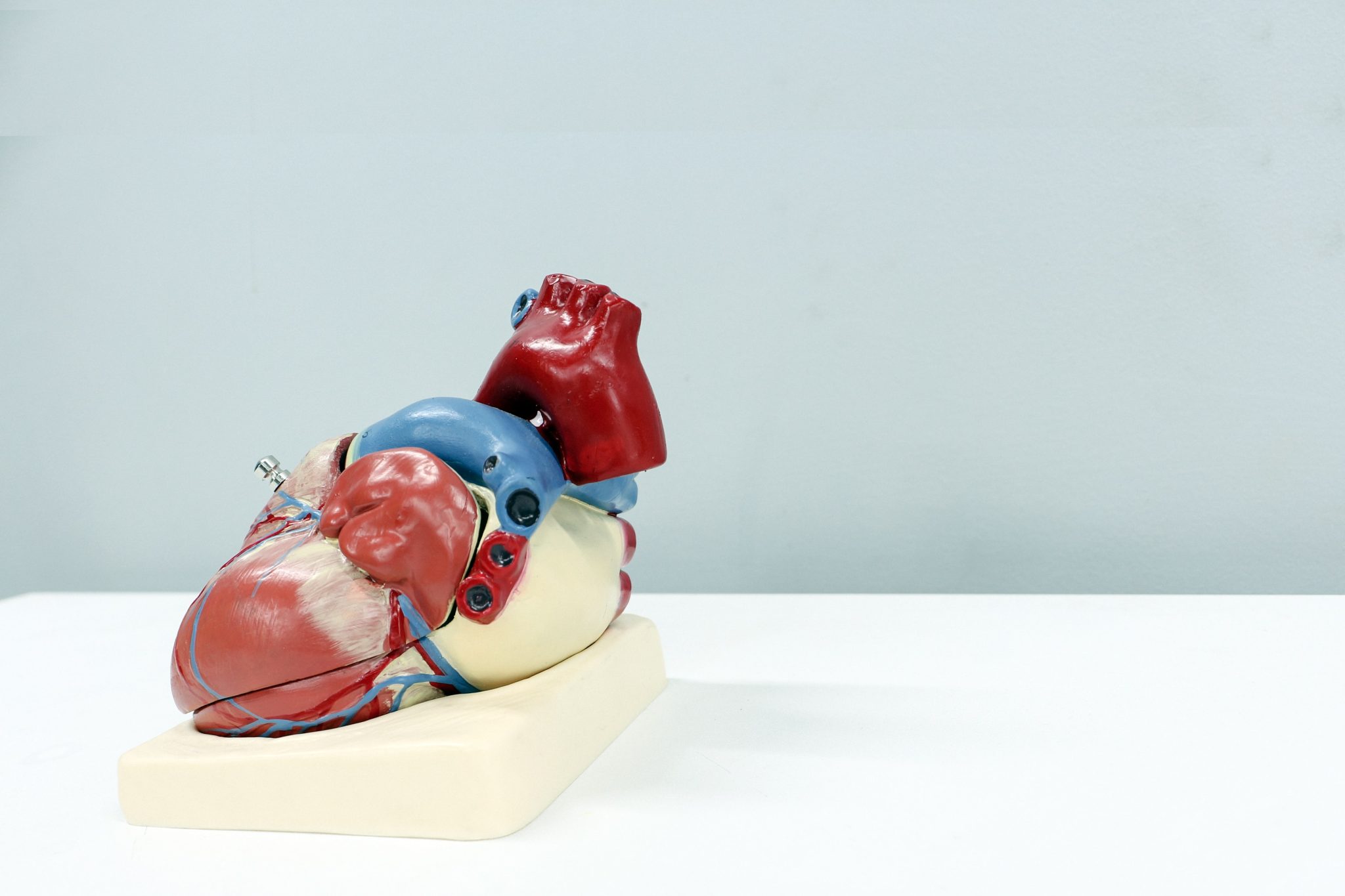 heart
